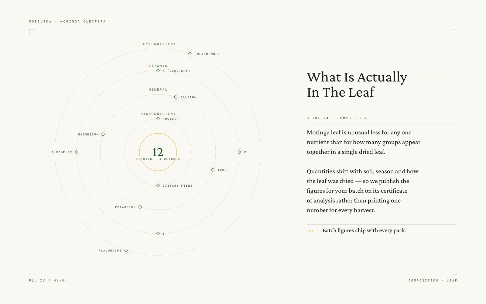 Diagram mapping the nutrient classes present in moringa leaf